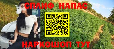 спиды Ливны