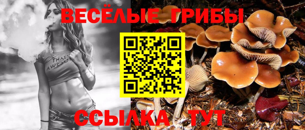 Галлюциногенные грибы Magic Shrooms Йошкар-Ола