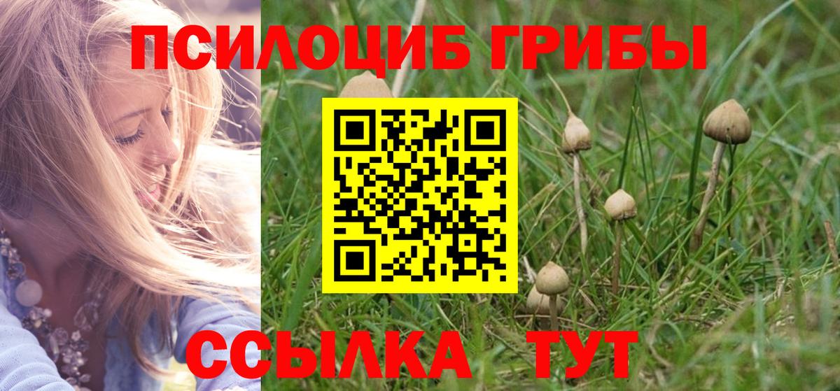 Галлюциногенные грибы прущие грибы  Вход с VPN  Йошкар-Ола  Псилоцибиновые грибы мухоморы 